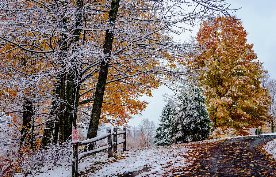 261,700+ Autumn Snow Stock Photos, Pictures & Royalty-Free Images