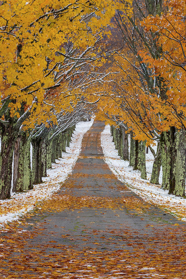 Autumn Snowfall Country Road Photograph by White Mountain Images
