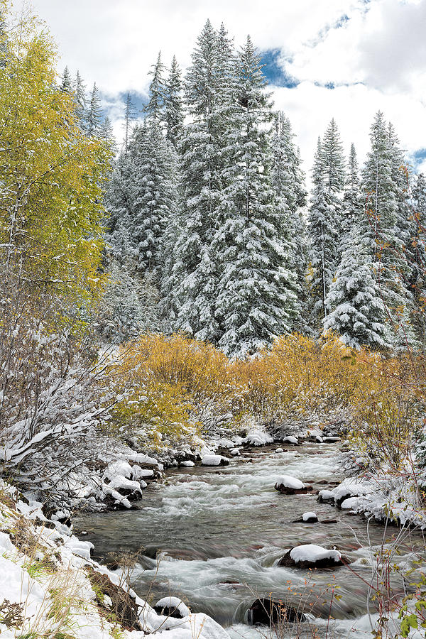Autumn Snowfall on Castle Creek Photograph by Jemmy Archer