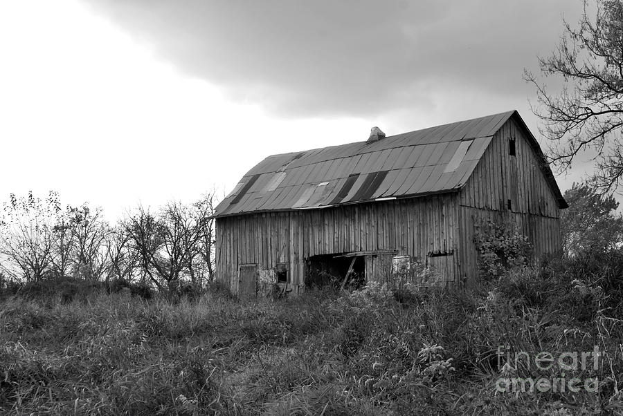 Barn Photograph - Autumn Solitude II by Michelle Hastings