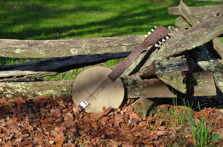 Autumn Song - Banjo Mandolin Photograph by Bill Cannon