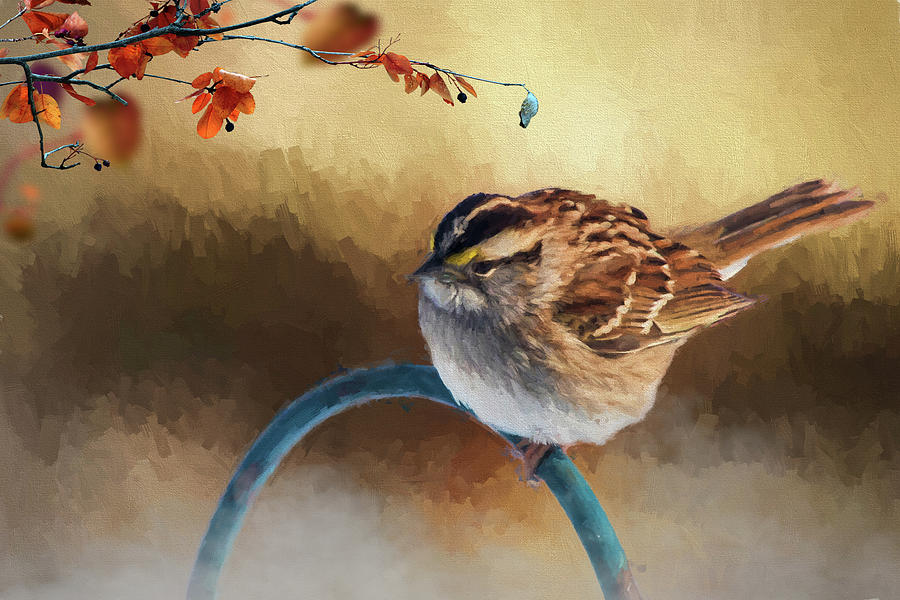 Autumn Sparrow Photograph by Cathy Kovarik