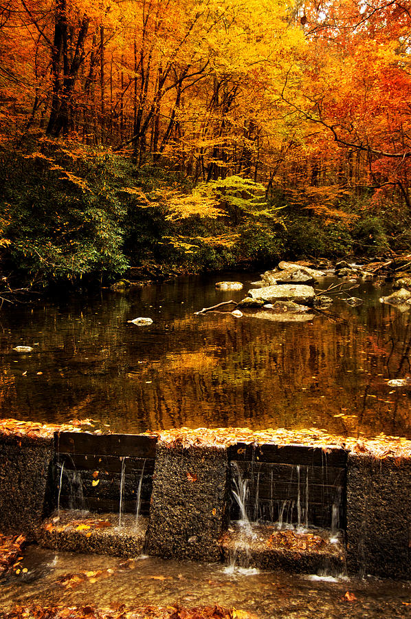 Autumn Spillway Photograph by Greg and Chrystal Mimbs