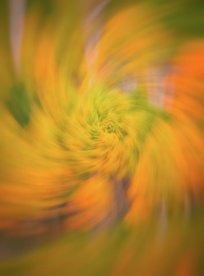 Autumn Spin Photograph