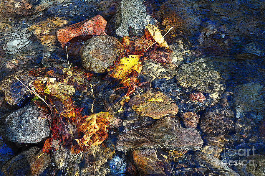 Autumn Splash Digital Art by Diane E Berry