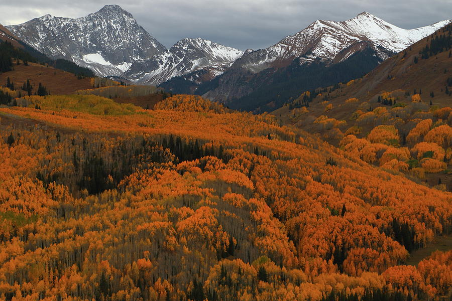 Autumn splendor at Capitol Creek Photograph by Jetson Nguyen