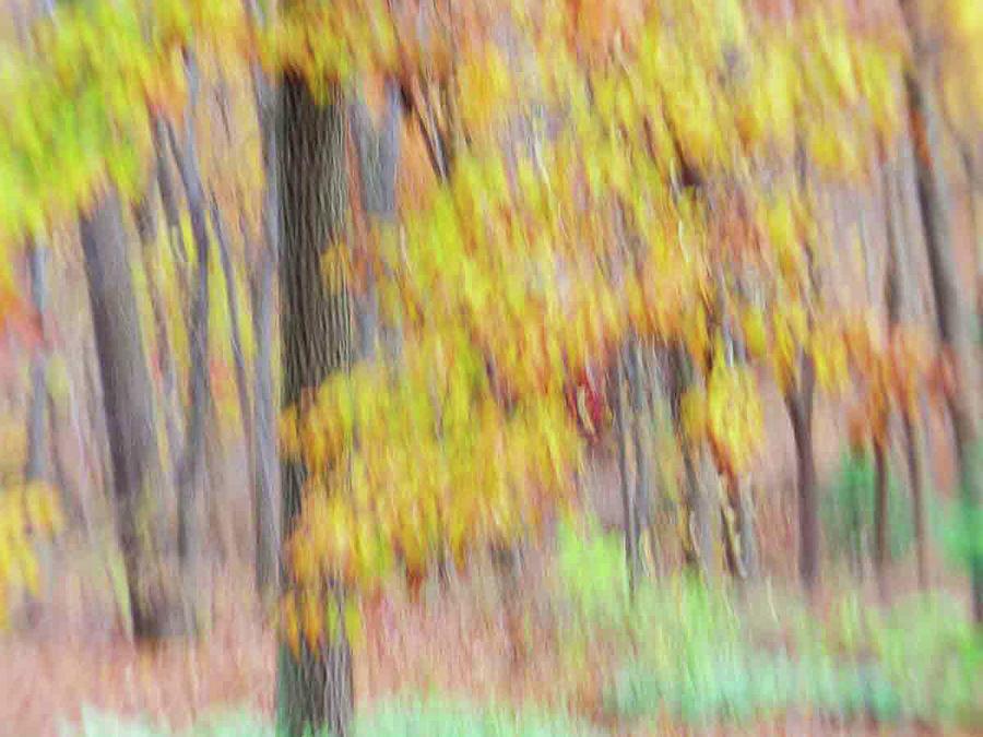 Autumn Splendor by Bernhart Hochleitner Autumn Splendor by Bernhart Hochleitner
