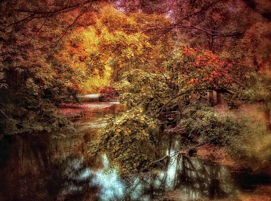 Autumn Splendor II Photograph by Jessica Jenney