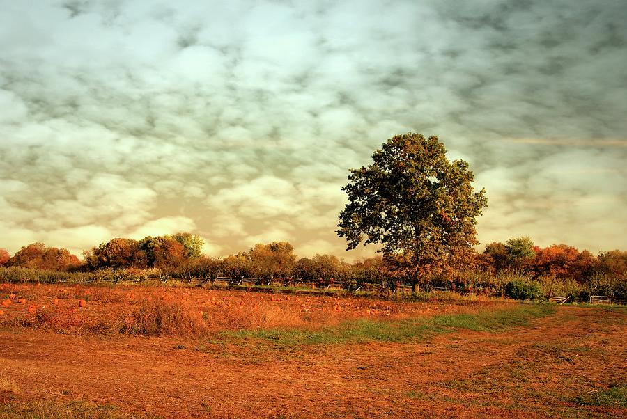 Autumn Splendor In The Orchard - Battlefield Orchards Photograph by Angie Tirado