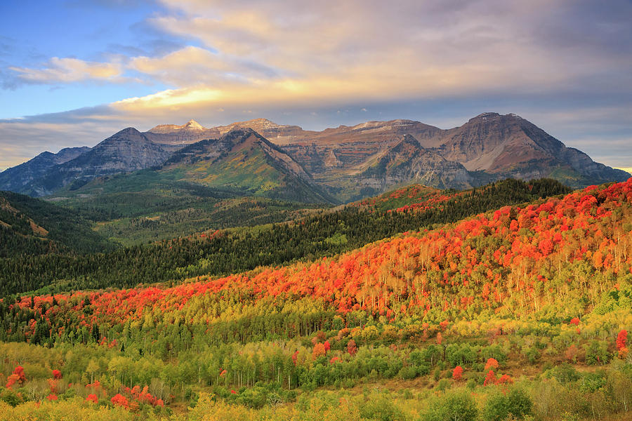 Mountain Photograph - Autumn splendor in the Wasatch Back. by Wasatch Light