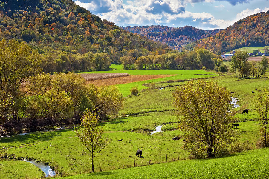 Autumn Splendor Photograph by Mark Mille Autumn Splendor Photograph by Mark Mille