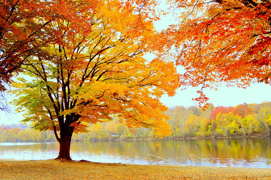 Autumn Splendor Photograph