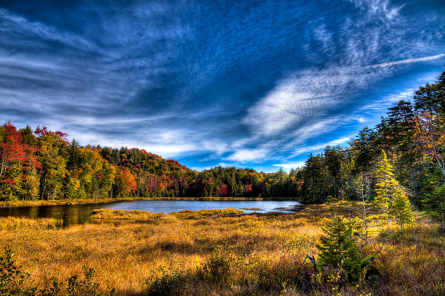 Autumn Splendor on Fly Pond Photograph by David Patterson