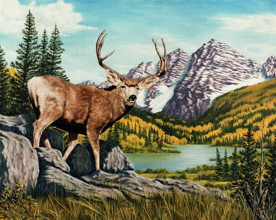 Animal Painting - Autumn Splendor by Rick Bainbridge
