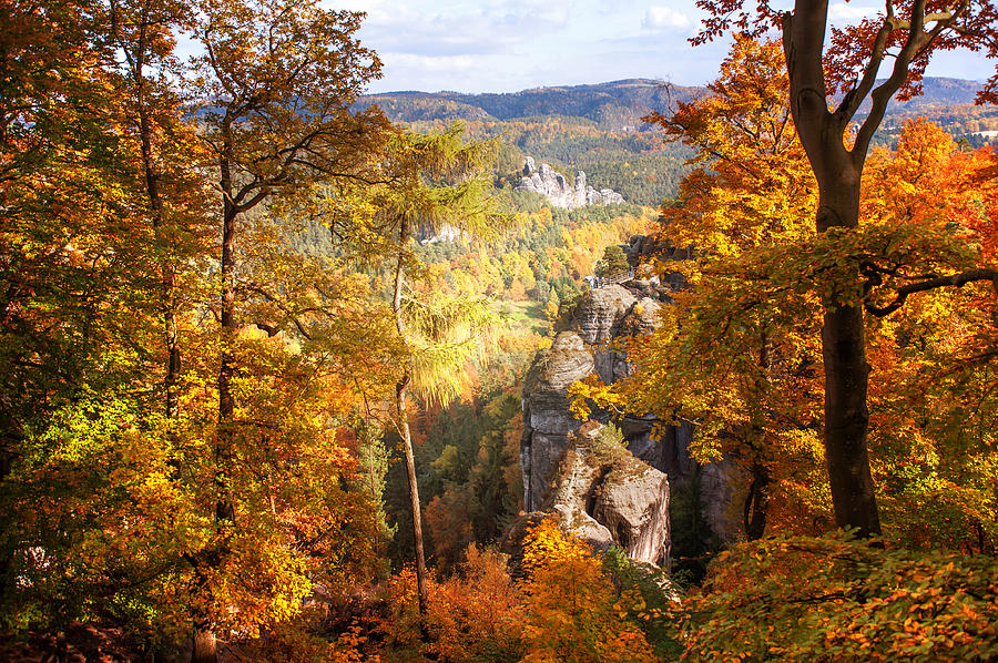 Autumn Splendor. Saxon Switzerland Photograph by Jenny Rainbow