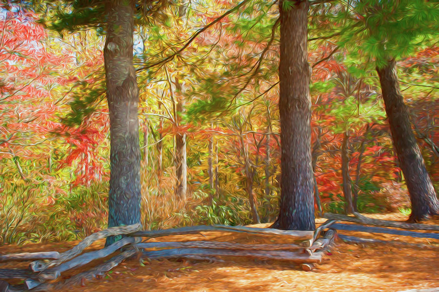 Autumn Split Rail Fence Digital Watercolor by Randy Herring Autumn Split Rail Fence Digital Watercolor by Randy Herring