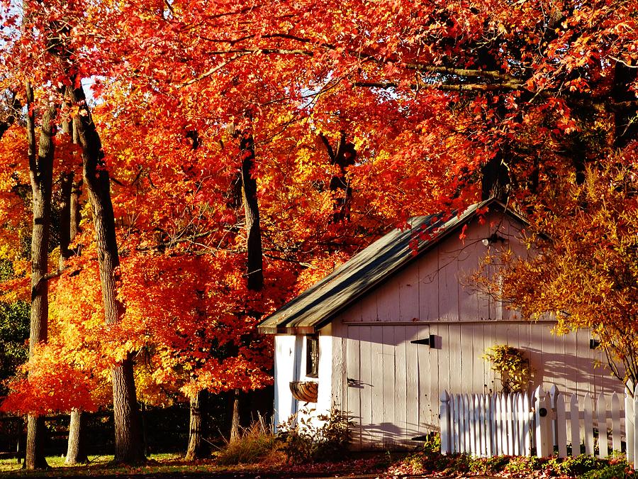 Fall Photograph - Autumn Springhouse by Greg Kear
