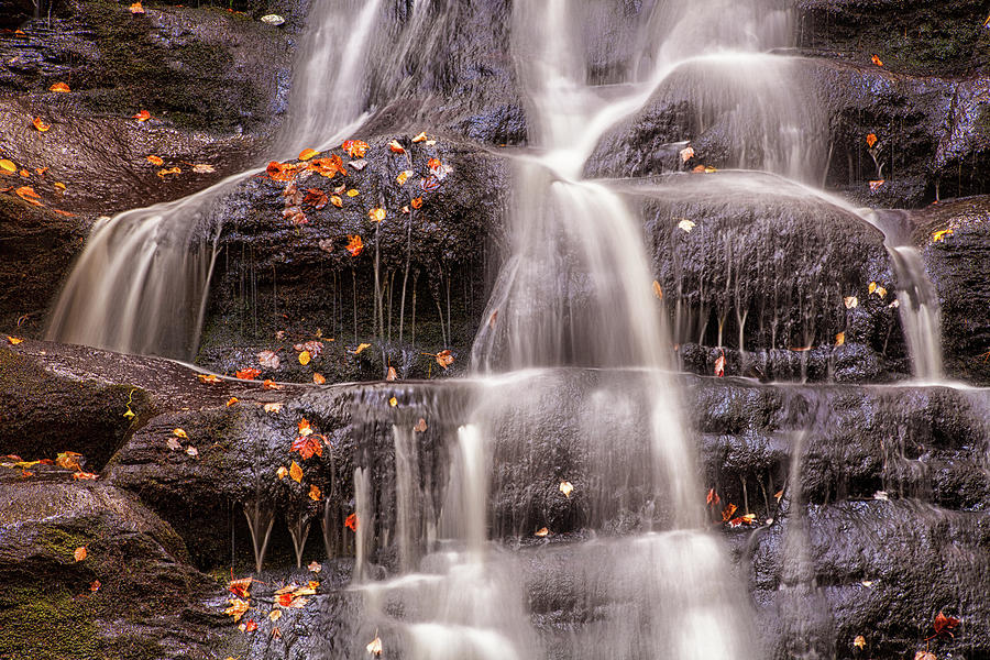Autumn Sprinkles Photograph by Irwin Barrett