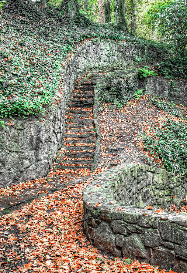 Autumn Stairway Photograph by Blaine Owens
