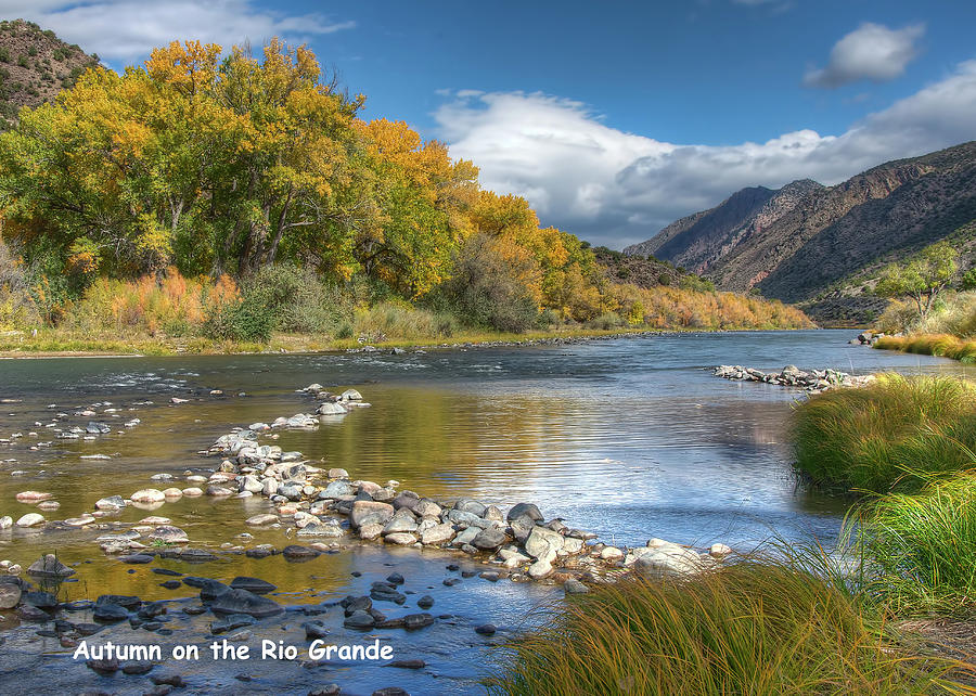 Autumn Stance Card Photograph by Britt Runyon