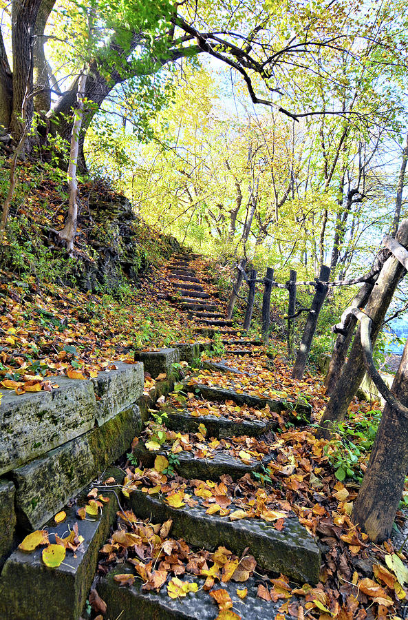 Autumn Steps 2 Photograph by Bonfire Photography