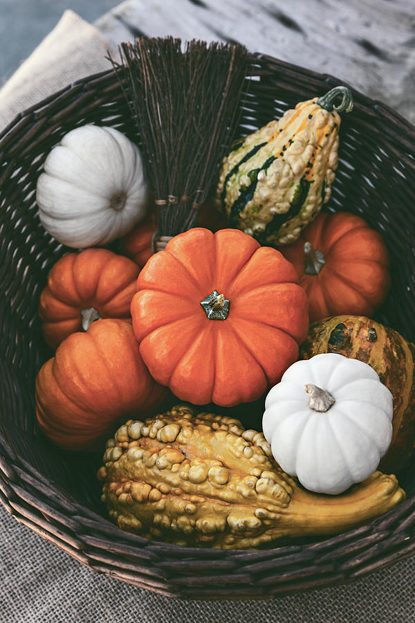 Autumn Still Life by Evgeniya Lystsova Autumn Still Life by Evgeniya Lystsova