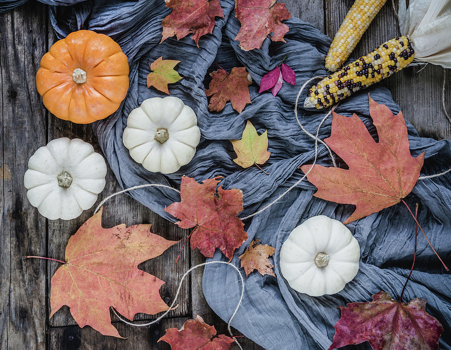 Pumpkin Photograph - Autumn Still Life by Kim Hojnacki
