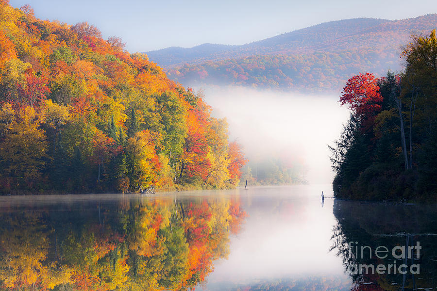 Autumn Stillness Photograph by Alan L Graham