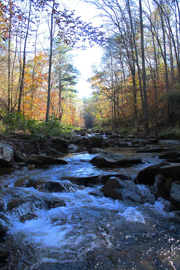 Autumn Stream 2 Photograph by Kevin Wheeler