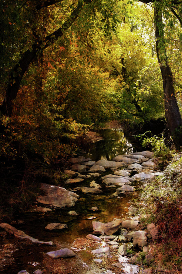 Autumn Stream 6163 H_2 Photograph by Steven Ward