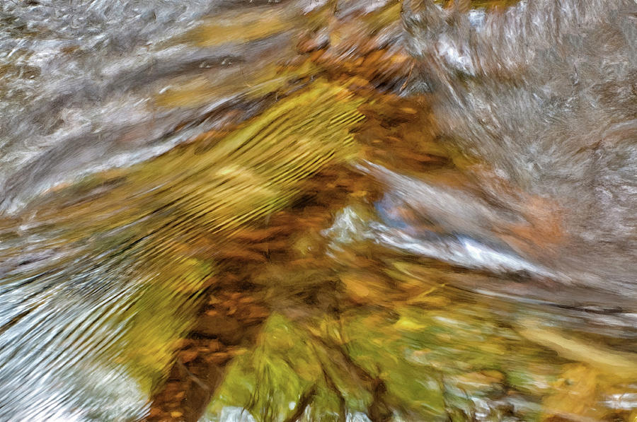 Autumn Stream Abstract Photograph by Gary Slawsky