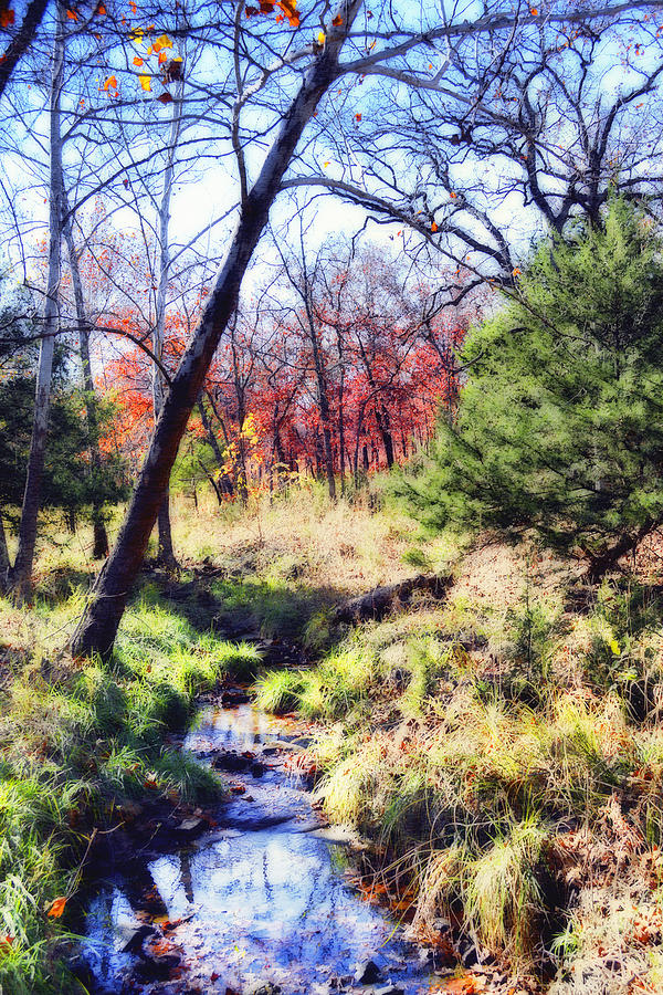 Autumn Stream  Photograph by Ann Powell
