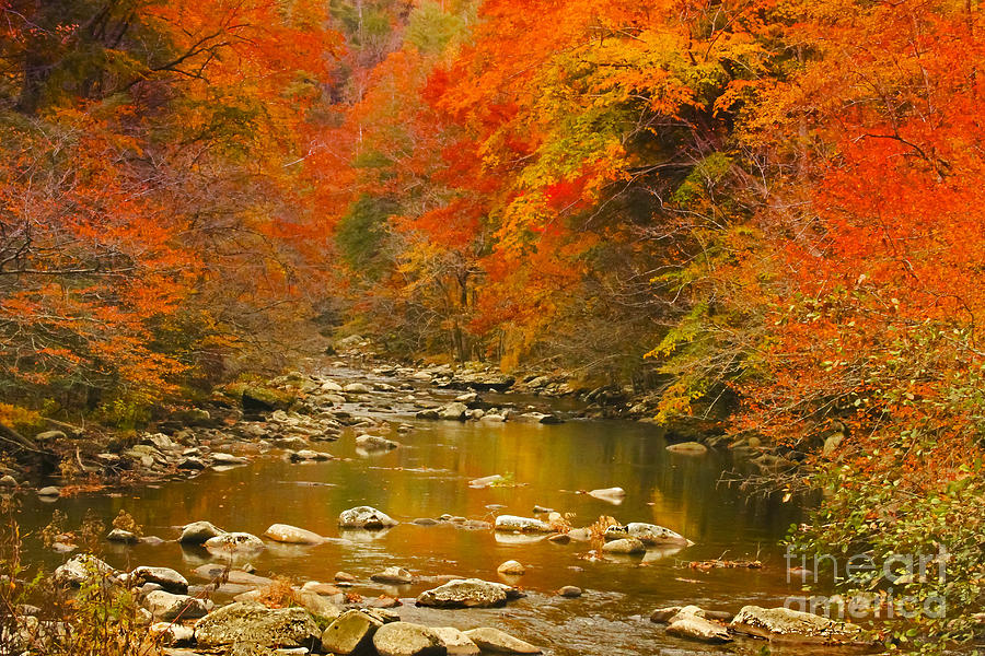 Autumn Stream Photograph by Geraldine DeBoer