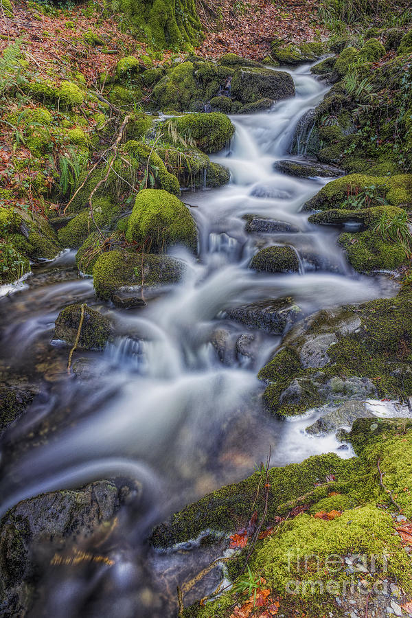 Autumn Stream Photograph by Ian Mitchell