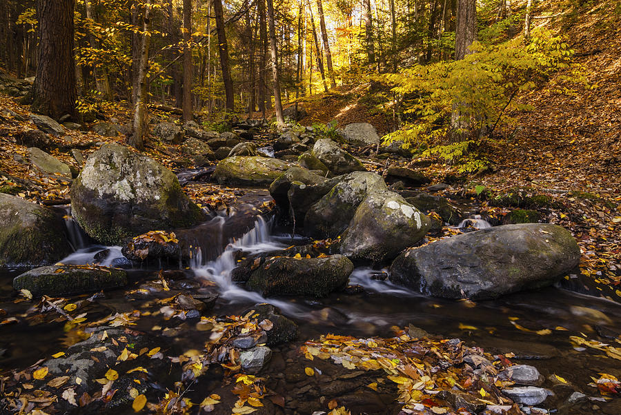Autumn Stream in Bushkill Falls State Park Pennsylvania USA Photograph by Vishwanath Bhat