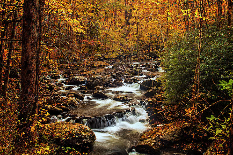 Autumn Stream in the Smokies Photograph by Andrew Soundarajan