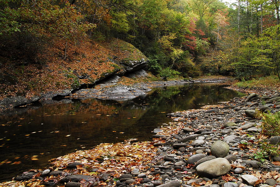 Autumn Stream Photograph by James Elam - Fine Art America