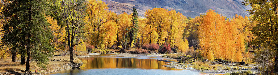 Autumn Stream Photograph by Mary Jo Allen