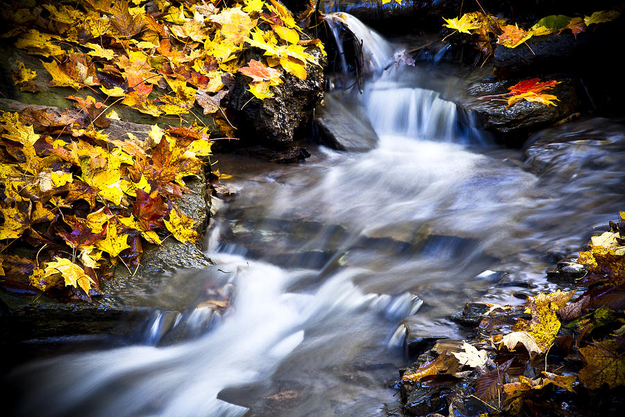 Autumn Stream No 2 Photograph by Kamil Swiatek