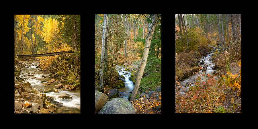 Autumn Streams Trio Photograph by Idaho Scenic Images Linda Lantzy