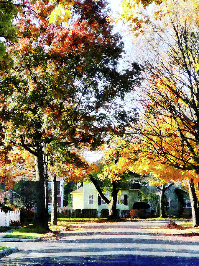 Autumn Street with Yellow House Photograph by Susan Savad