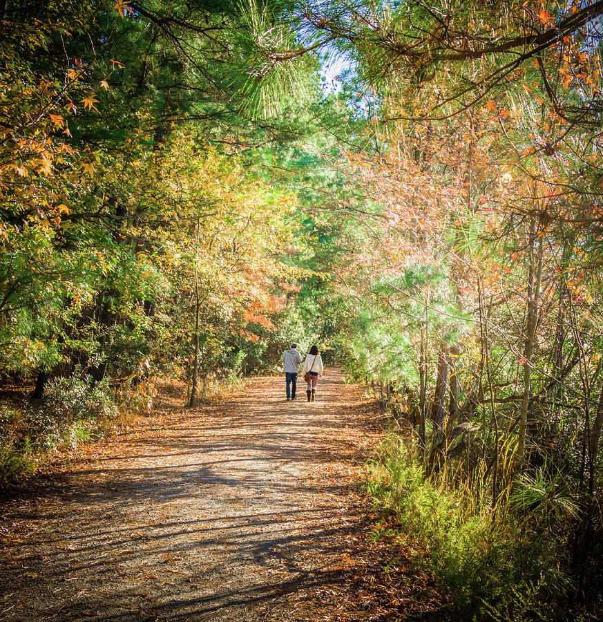 Autumn Stroll in the Park Photograph by Robert Anastasi
