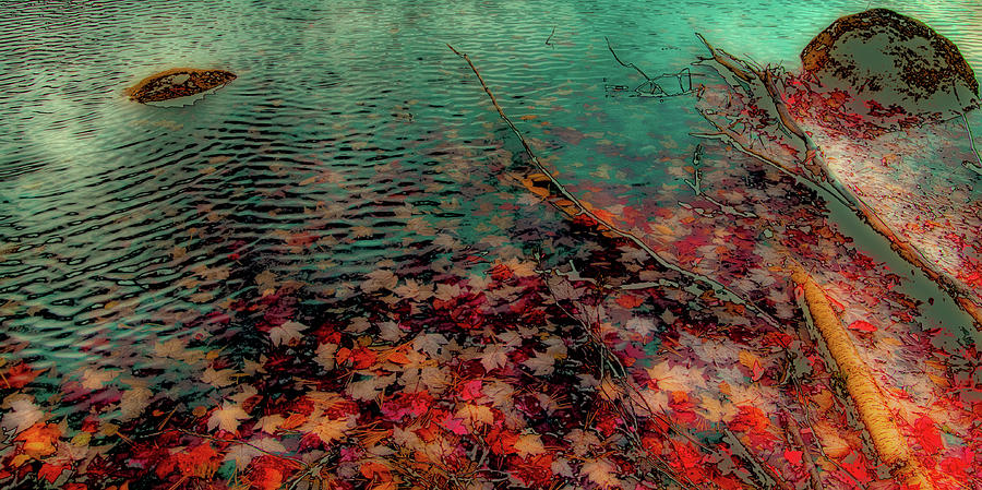 Abstract Photograph - Autumn Submerged by David Patterson