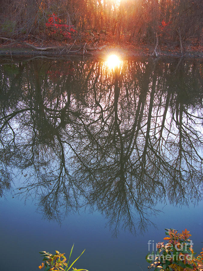 Autumn Sun Goes Down Photograph by Ann Horn