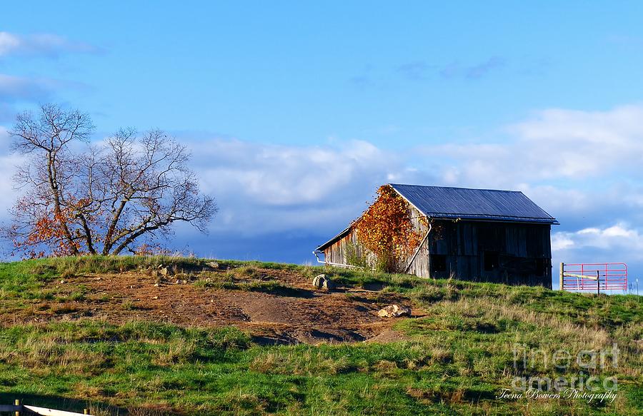 Autumn Sun in Kline WV. Photograph by Teena Bowers Fine Art America