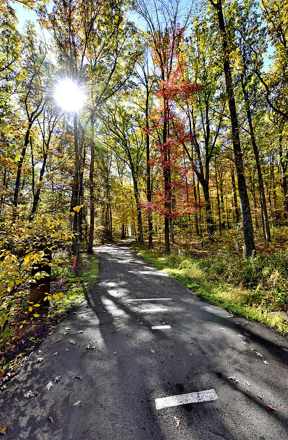Autumn Sun in Ohiopyle State Park Photograph by Brendan Reals