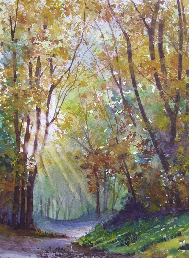 Autumn Sun in the Forest Painting by Jim Mc Partlin - Fine Art America