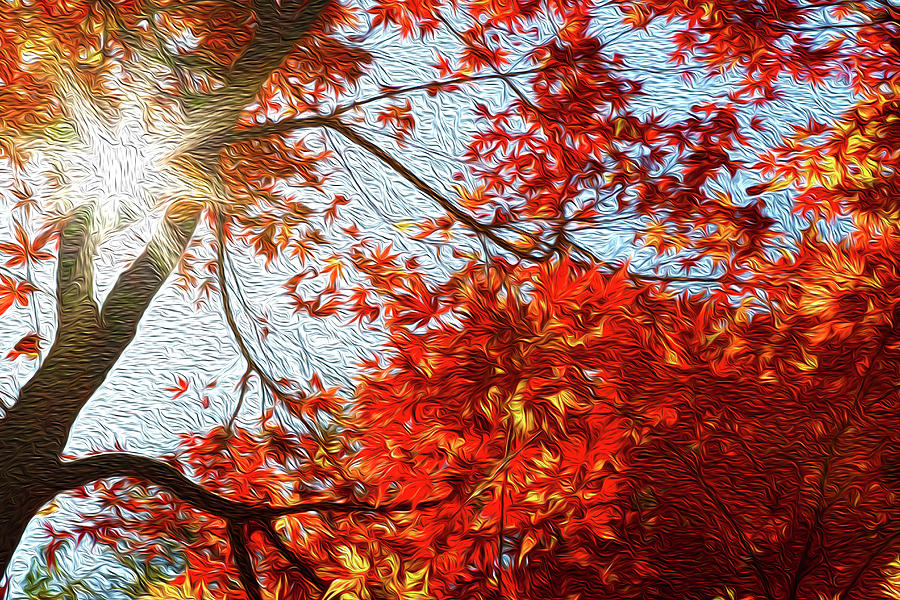 Autumn sun Digital Art by Les Cunliffe