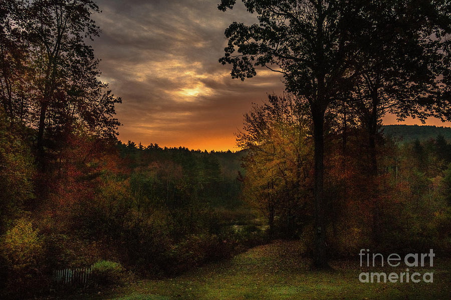 Autumn Sun Photograph by Mim White