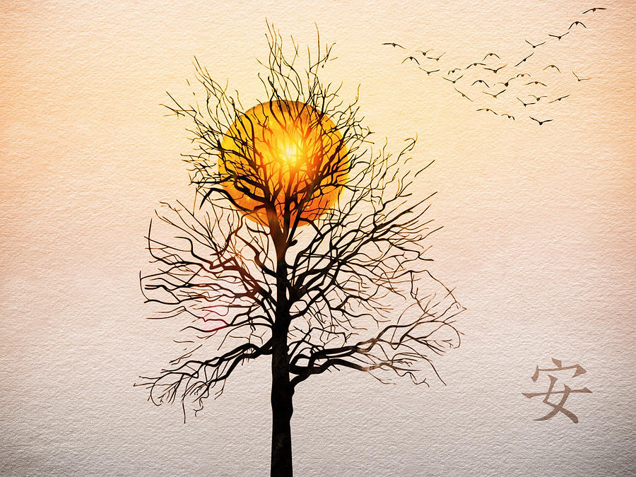 Seasons Drawing - Autumn Sun Tranquility by Anthony Robinson